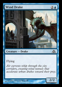 wind drake