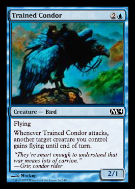 trained condor m14 spoiler